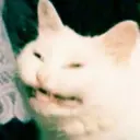 kolodnikit
