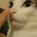 DeimZI