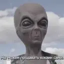 KOSYAkPOlive