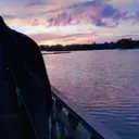Revoltishe