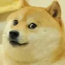 Lolz profile picture for @Spheres