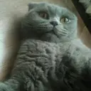 ubvdsz
