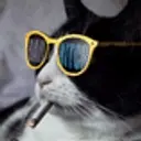 fsolo