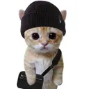 renameduser_592449