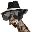 giraff163