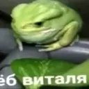 Ogurchik137
