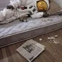 Всвклол2