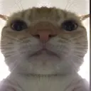 Cheaterflkfdkl