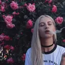 Stungy