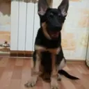 111zLuKa111