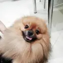 Hairy_Cunt