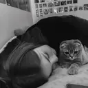 сайленс