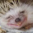 IamGodX