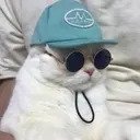 Rigagit