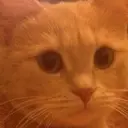 Tiamur