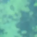 MashWanded