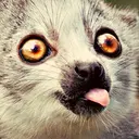Lolz profile picture for @Huns