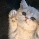 nicebodyaim