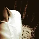 artem00_inactive705859