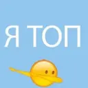 danila2284856