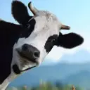 Lolz profile picture for @Ranchers