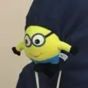 WINVIST