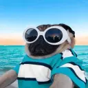 PUG