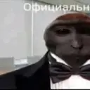 Sjsj