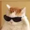 doolban