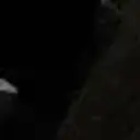 laxiorr