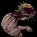 zane999