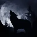 alaska22