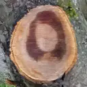 Erik2281488