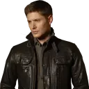 WinchesterBRA