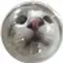 Lolz profile picture for @overtired