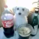 retardeddd