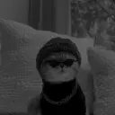 Совушка