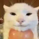 пытаюсь
