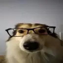v__kokon