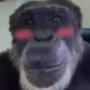 ДончикЯгон