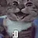 huikasaki