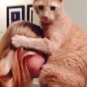 Вышестоящий