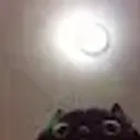 12322321