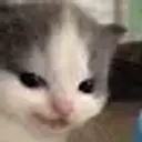 Smilefooby