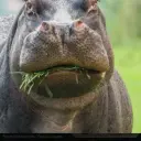 Heu5BecTHblu5