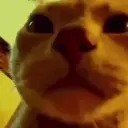 Xflovvv