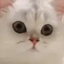 Merci