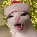 Sayflamer