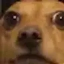 Den0gn