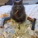 sp1nyy